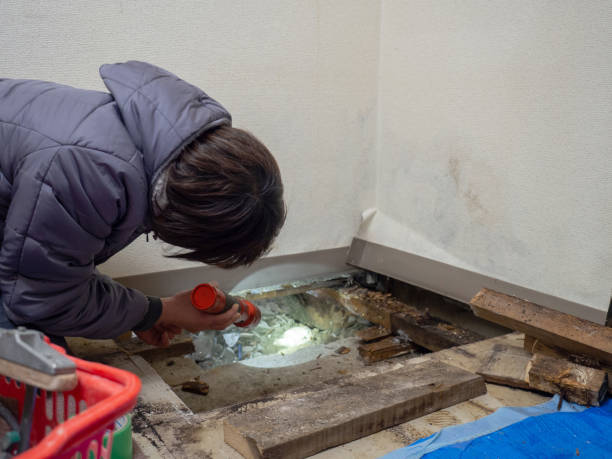 Mold Remediation for Rental Properties in North Hornell, NY