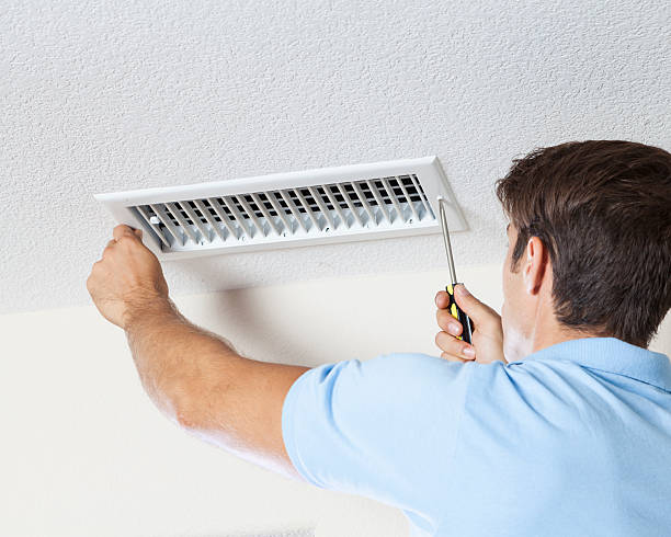 Best Emergency Mold Remediation  in North Hornell, NY