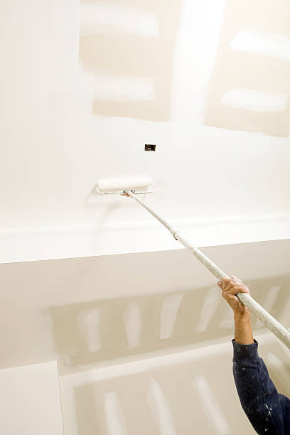 Best Biohazard Mold Removal  in North Hornell, NY