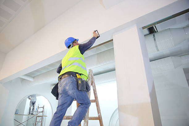Best Mold Remediation for Healthcare Facilities  in North Hornell, NY